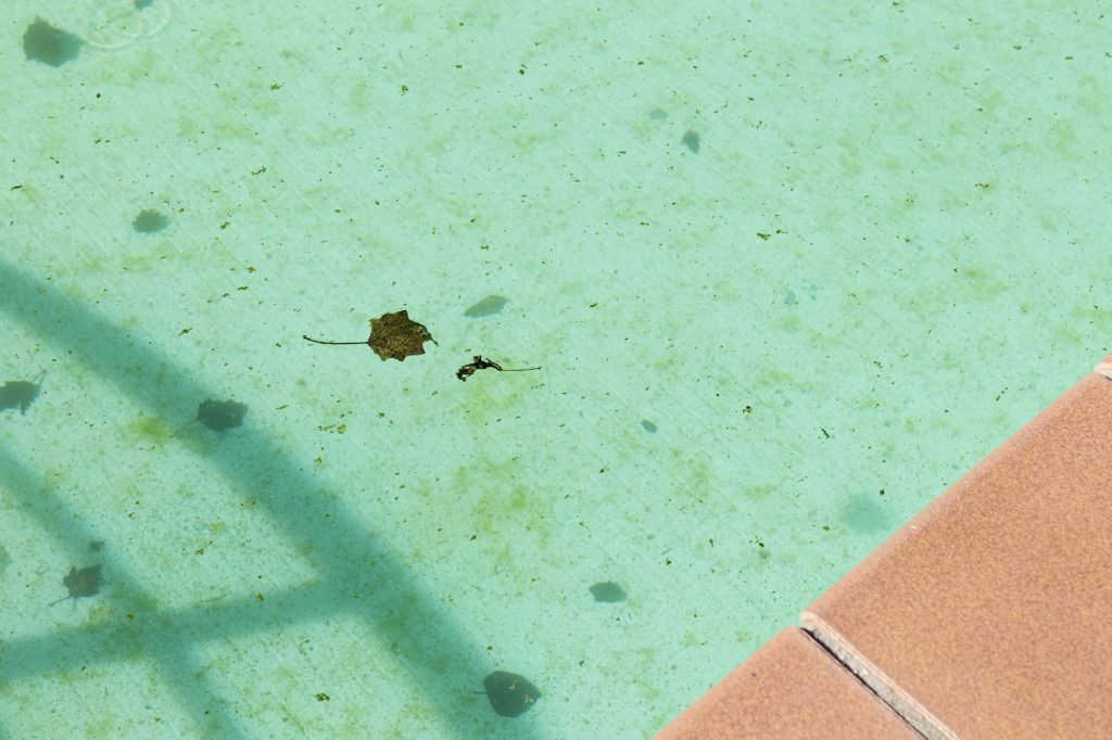 Mantención de piscinas en Otoño e Invierno
